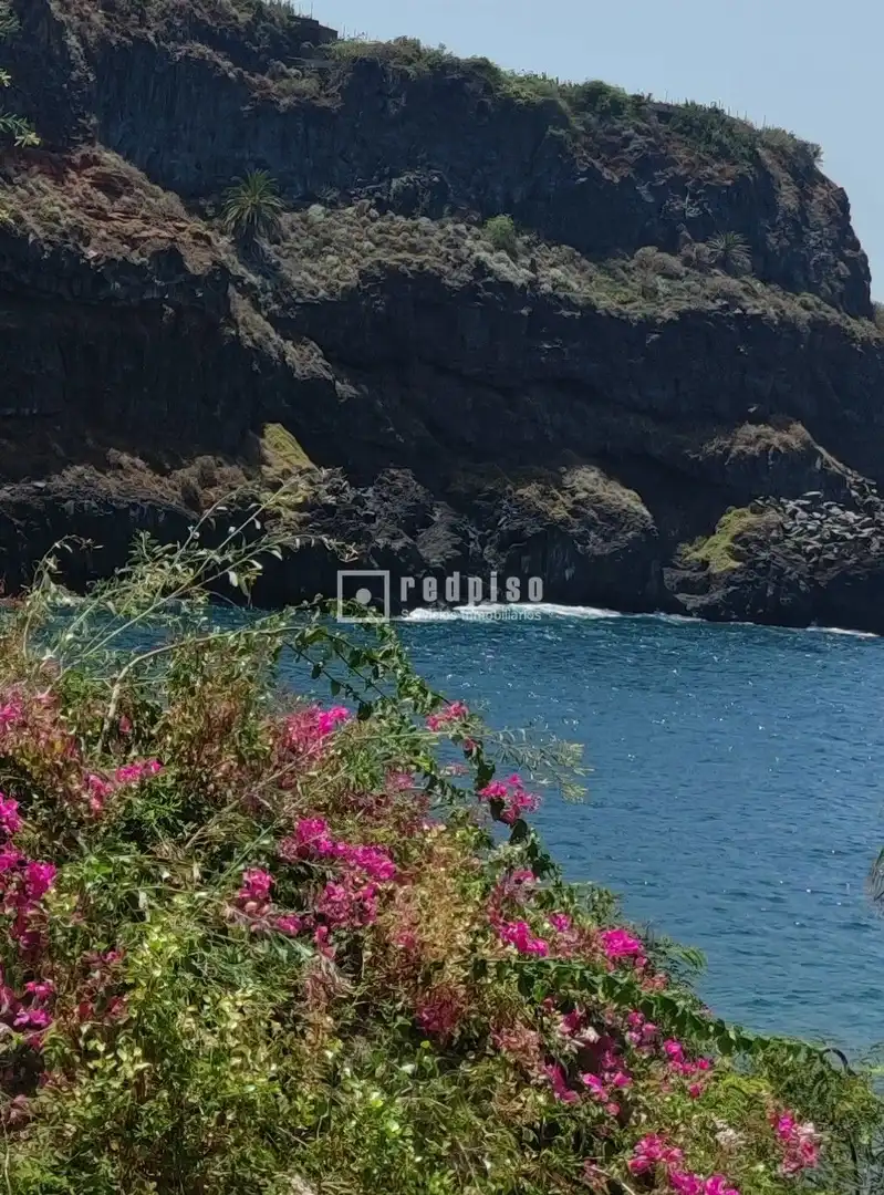 Vista exterior de Estudi en venda en Icod de los Vinos amb Calefacció