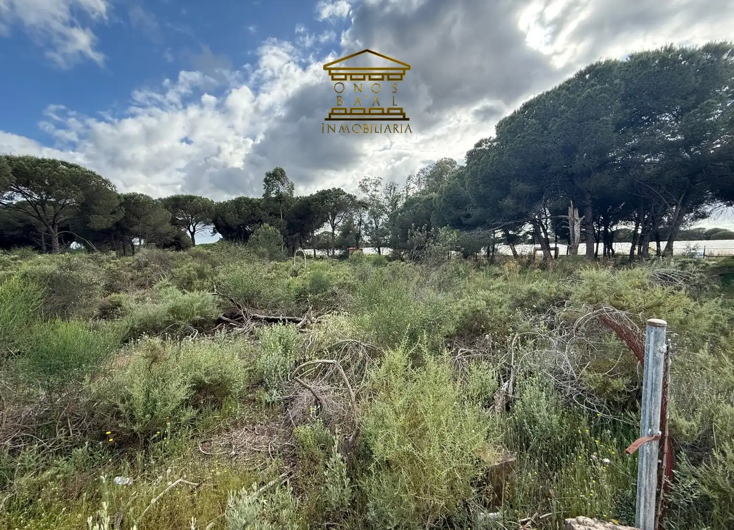Terreno en venta en Almonte