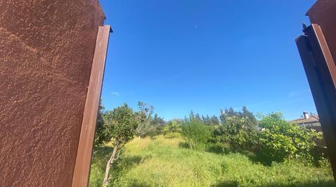 Photo 4 of Land for sale in  Bellavista, Bellavista, Sevilla