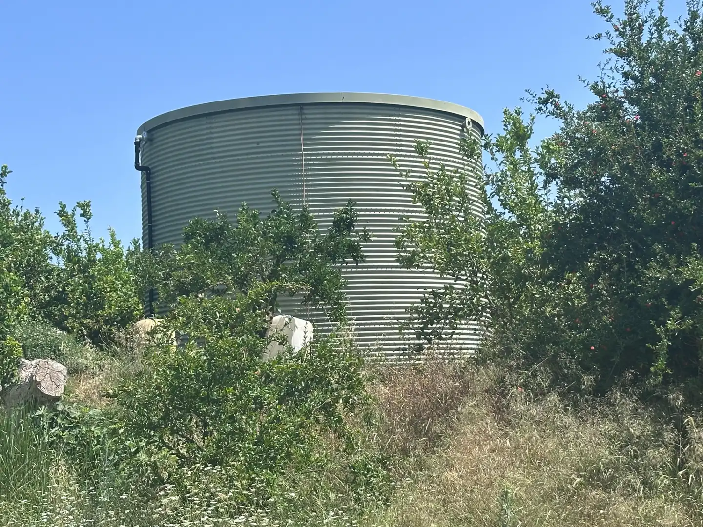Terreno rustico in vendita a Buenavista - Lauro Golf, imagen 6