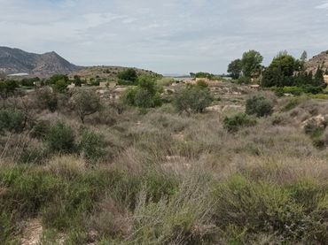Terreny residencial en venda a Verdegas