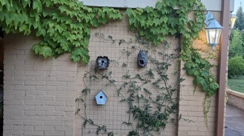 Photo 3 of House or chalet for sale in Santa Maria de Trassierra,  Córdoba Capital