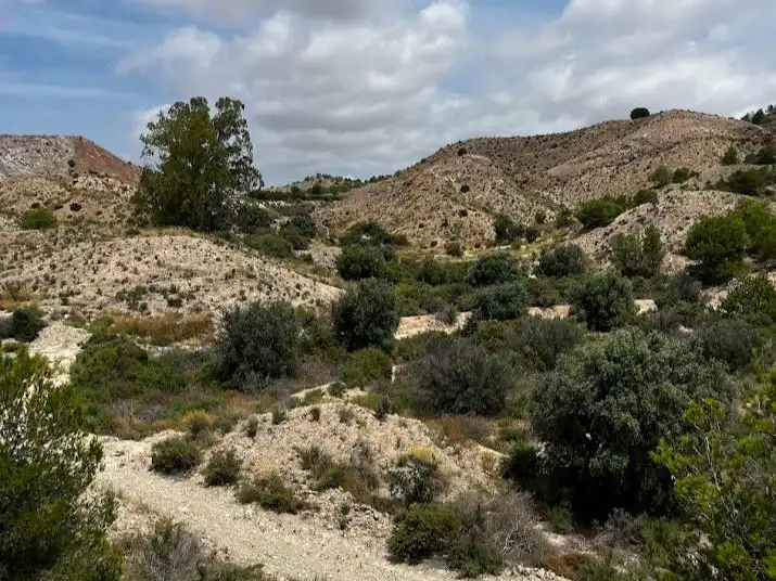 Rustikales Grundstück zum Verkauf in camino cascabel 11, imagen 4