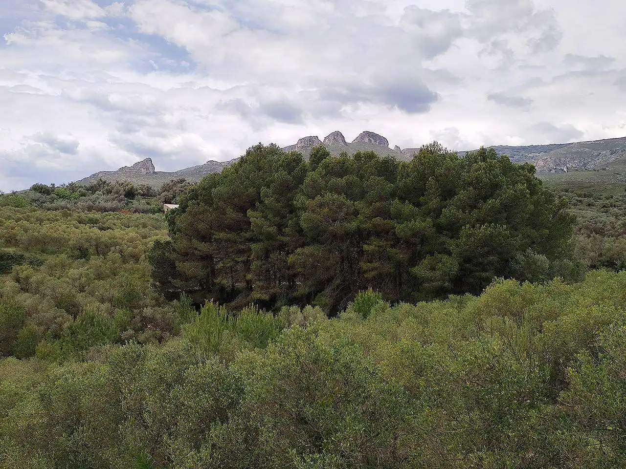 Finca rústica en venta en La Sénia con Terraza