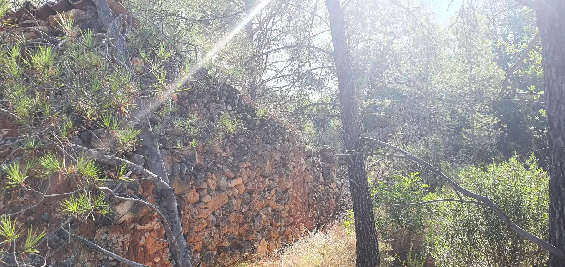 Casa o chalet en venta en Benifallet
