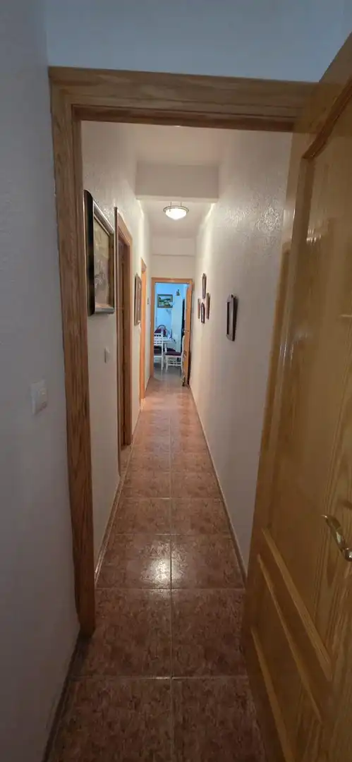 Apartments for rent in Centro