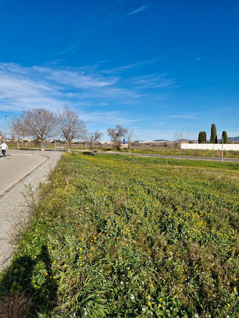 Residencial en venda a Carrer de Sant Pere Molanta, 1, Olèrdola