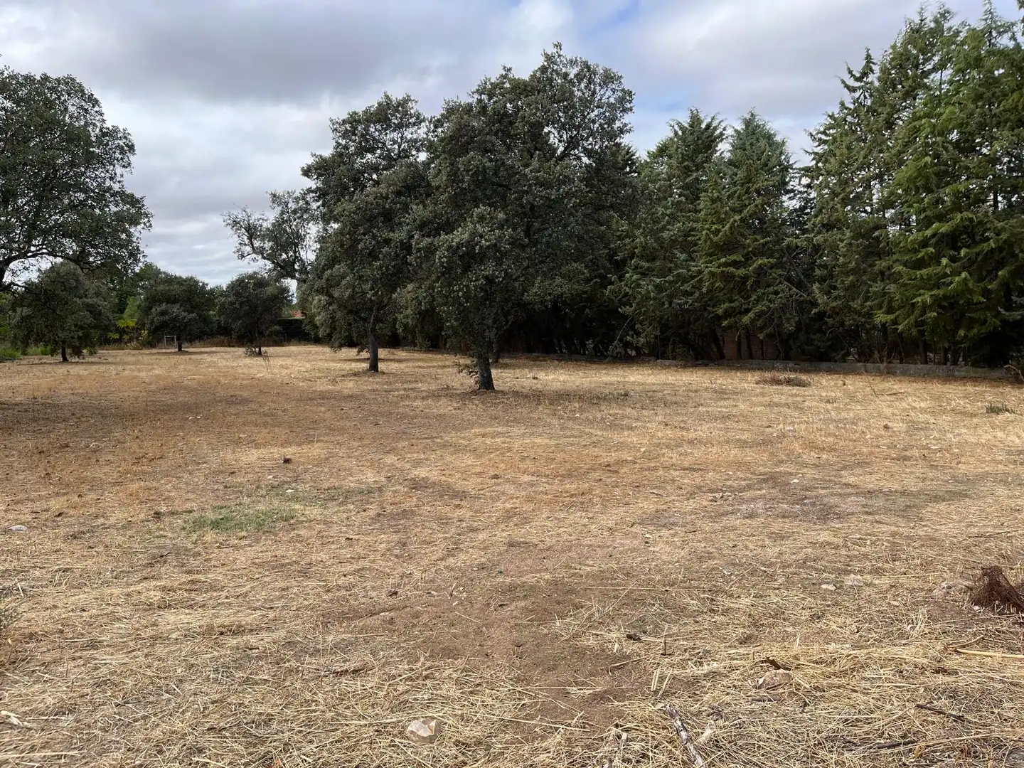 Residencial en venta en San Román de los Montes