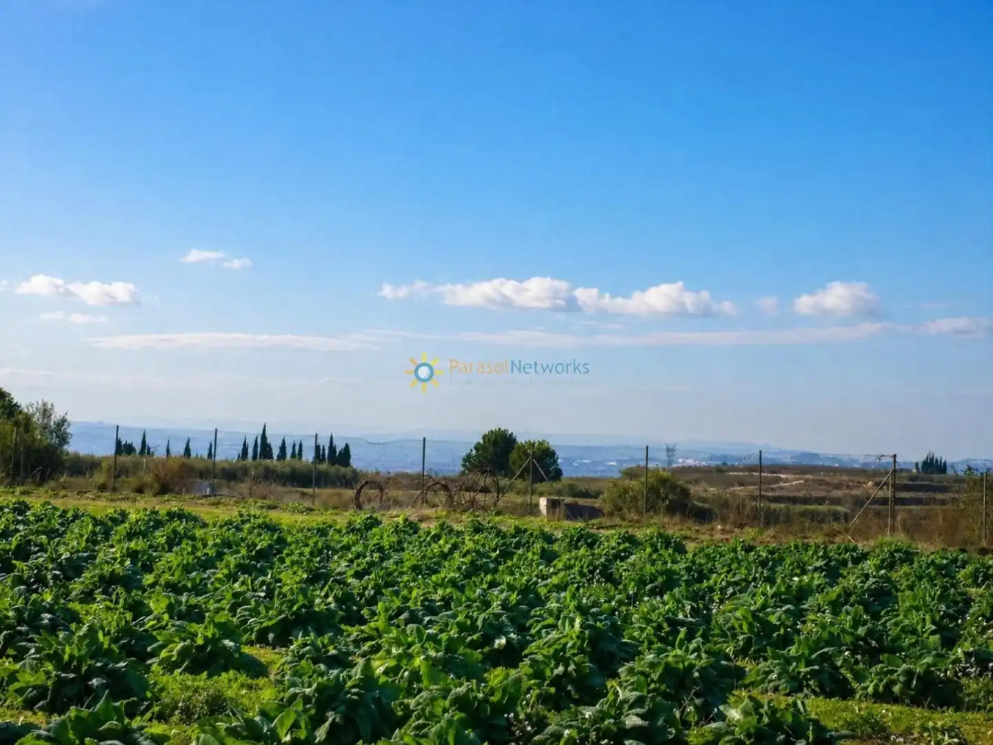 Finca rústica en venta en Benigànim con Terraza y Trastero