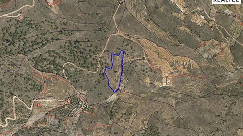 Gran finca rústica en venta en Alcolea, imatge 2