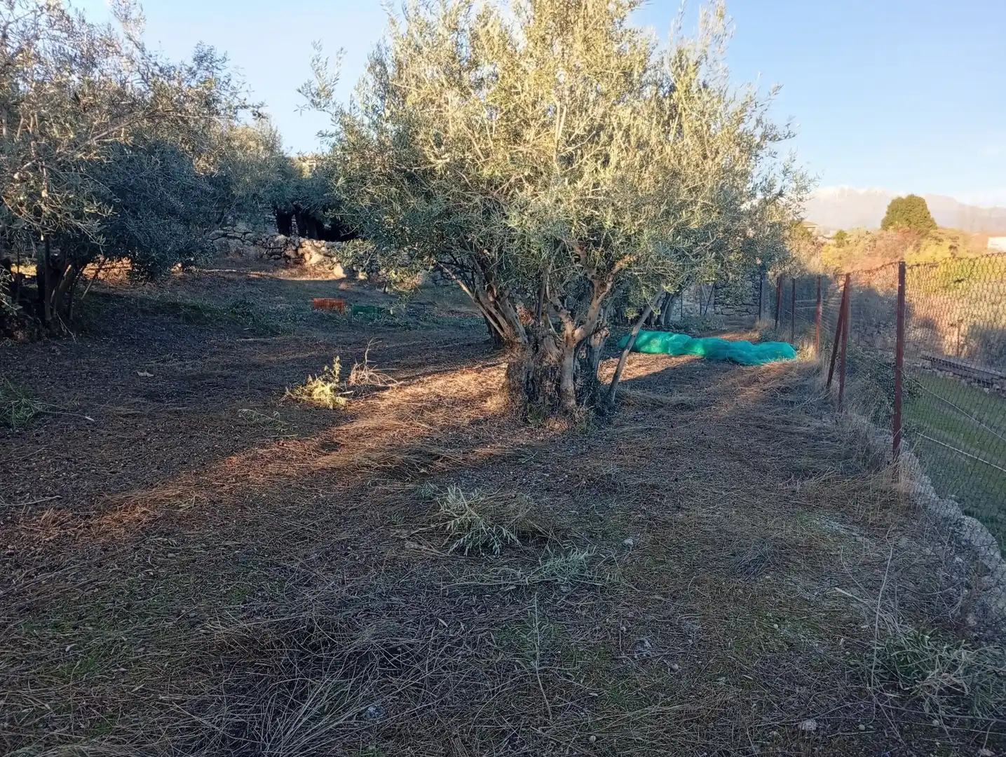 Terreni e lotti in vendita a Villanueva de la Vera, imagen 41