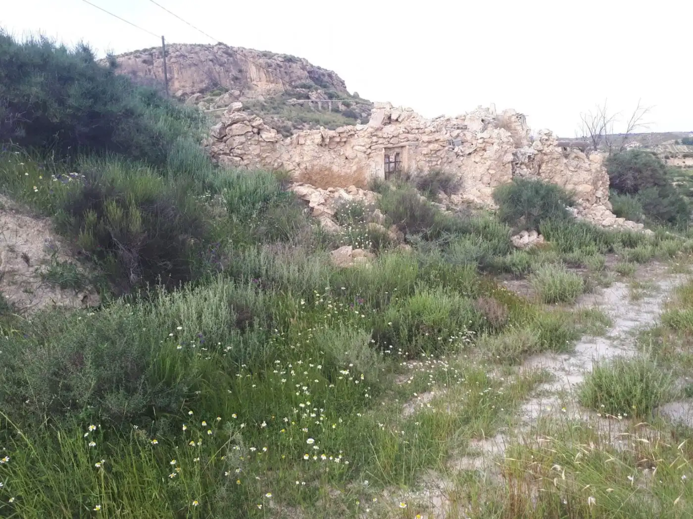 Finca rústica en venda en Urrácal