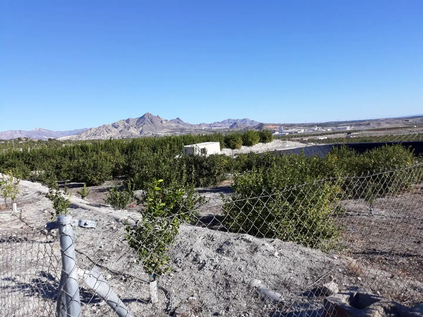 Lands and plots for sale in Paraje del Tale, imagen 5