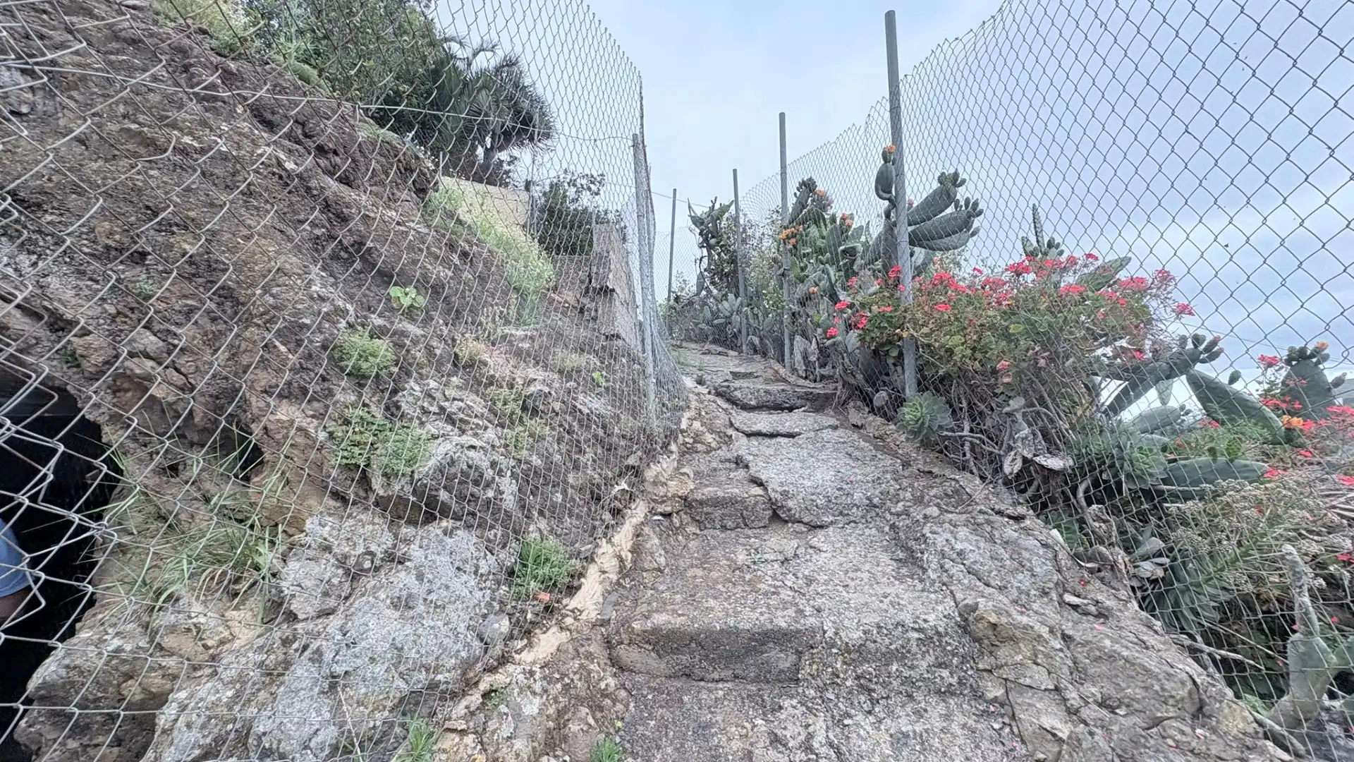 Vista exterior de Casa adosada en venda en Santa Brígida amb Jardí privat, Traster i Moblat