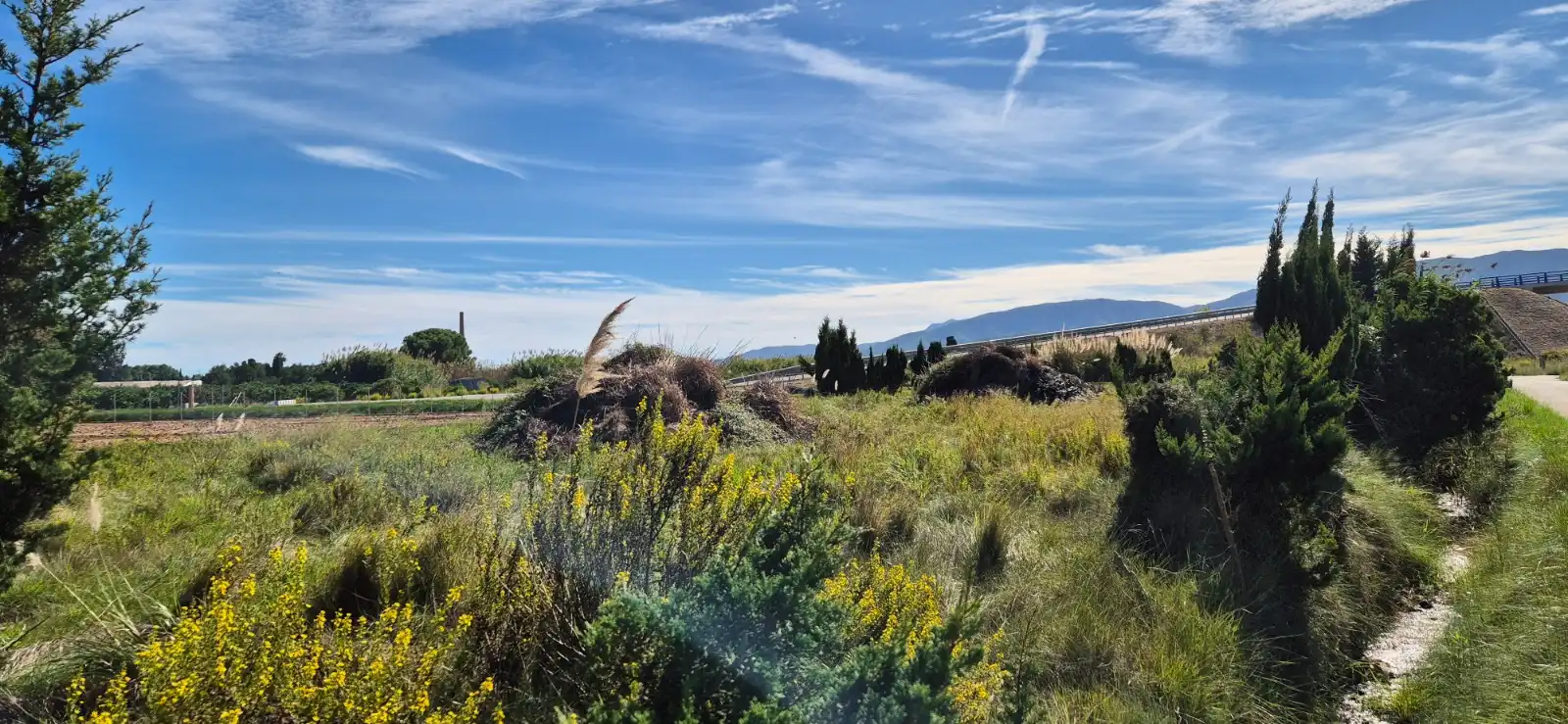 Terrain rustique à vendre à Segador de Samuel, imagen 5