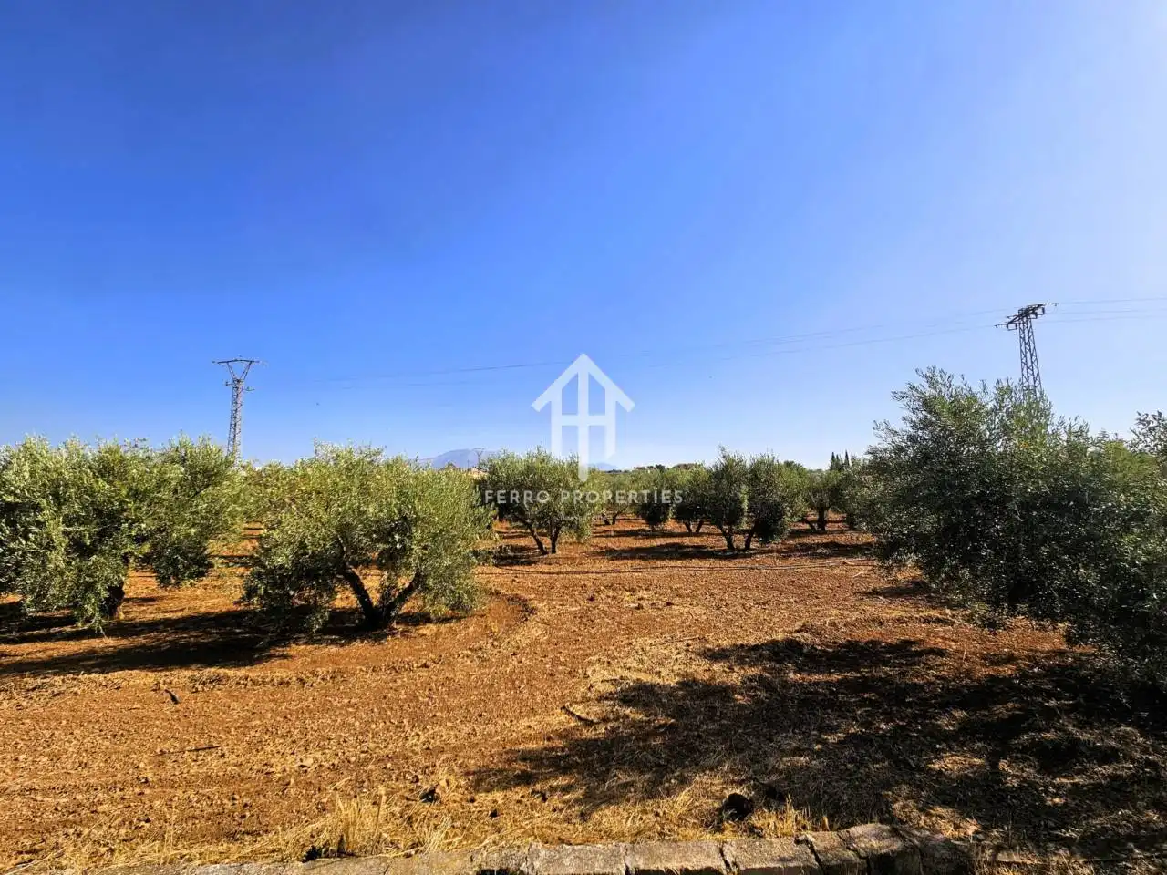 Terreni e lotti in vendita a Moraleda de Zafayona, imagen 55
