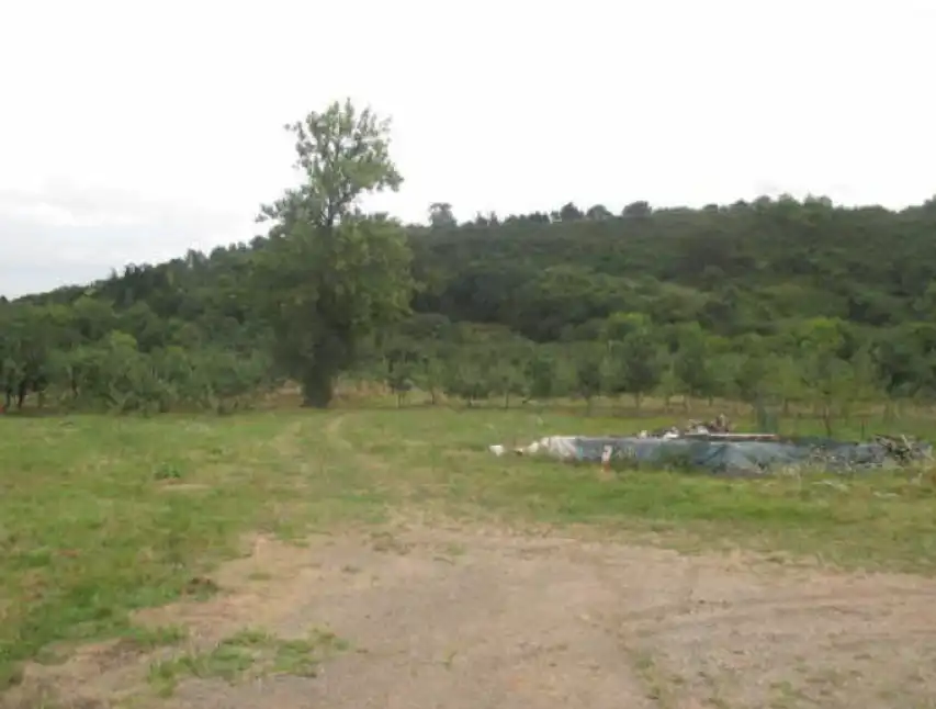 Terrenos y solares en venta en CUESTINA-VEGA 90 Polígono 99 Parcela 197 EL PRAU Y LA VEGA, imagen 9