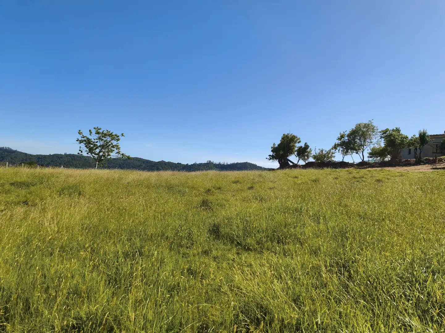 Casa o chalet en venta en Villaviciosa con Trastero y Balcón
