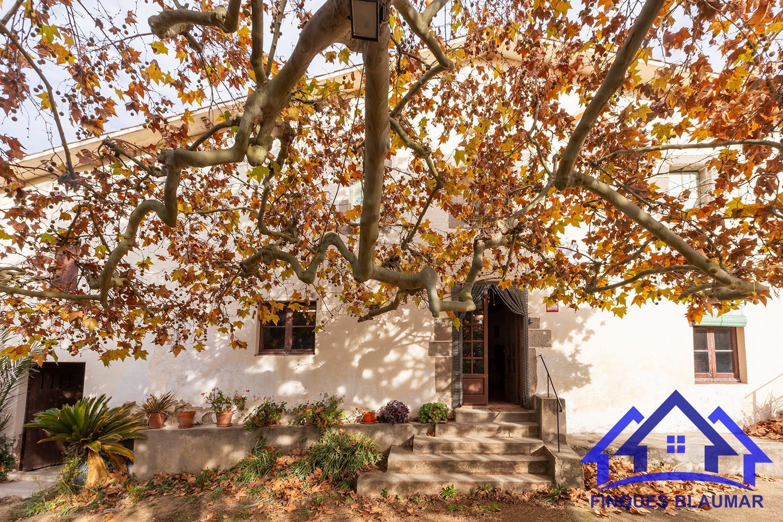 Country house for sale