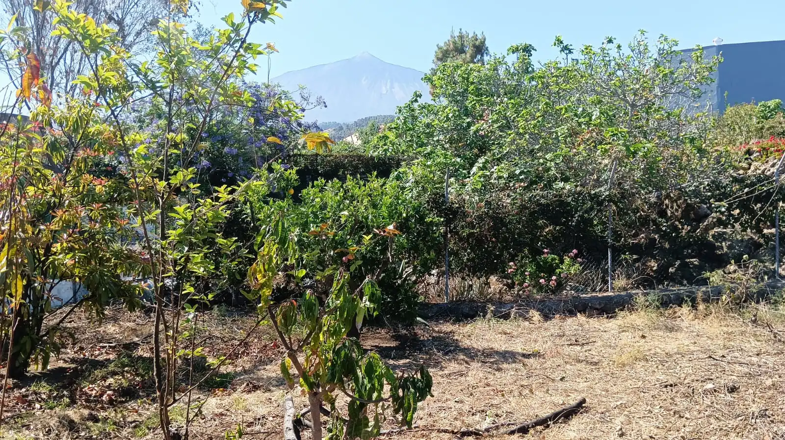 Rural land for sale in San Felipe - San Marcos - Las Cañas, imagen 13