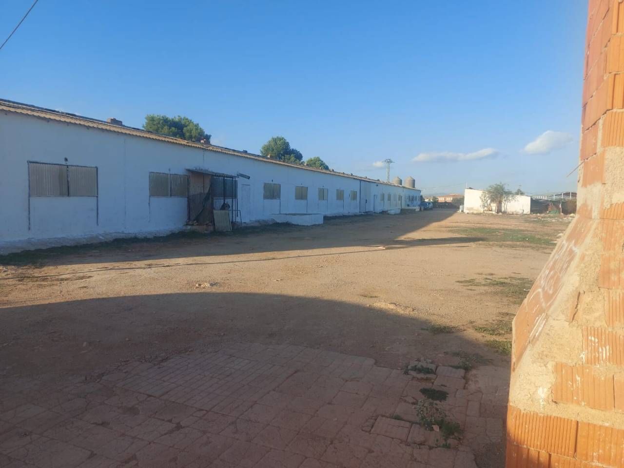 Vista exterior de Finca rústica en venda en Fuente Álamo de Murcia amb Terrassa i Moblat