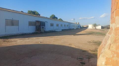 Photo 2 of Country house for sale in N/a, Los Almagros - Los Paganes - El Escobar, Murcia