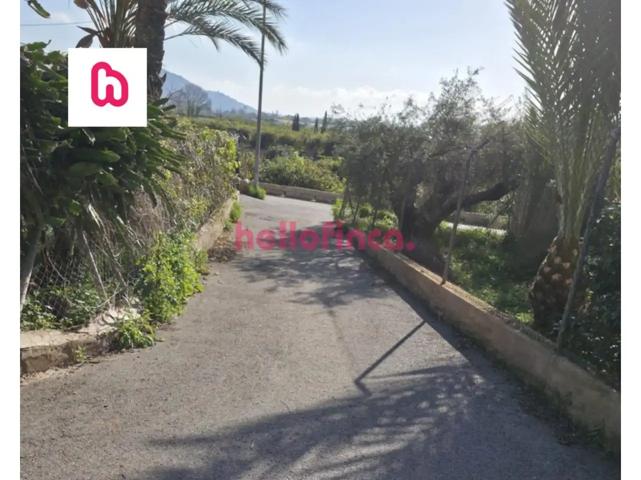 Detached house with pool for sale in Orihuela ciudad, imagen 22