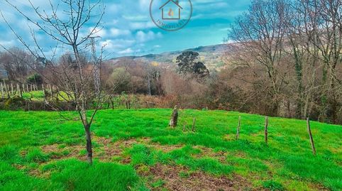 Photo 3 of Houses for sale in Lobeira, Ourense