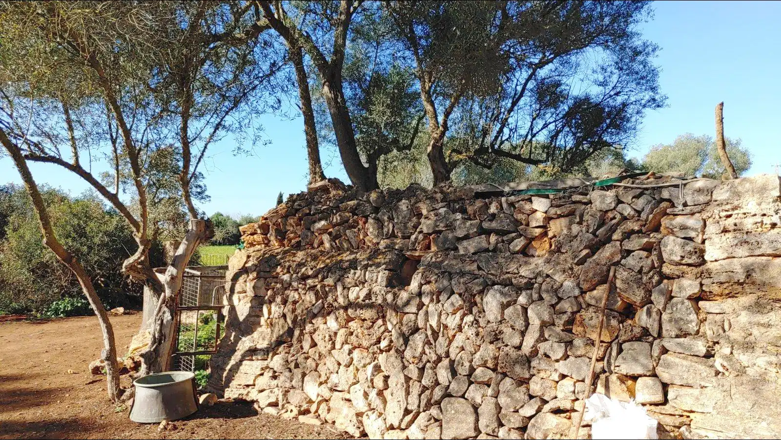 Terrenys i solars en venda a Felanitx Poble, imagen 15