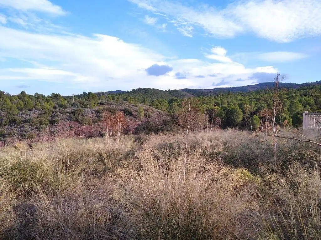 Casa o chalet en venta en Ortillo