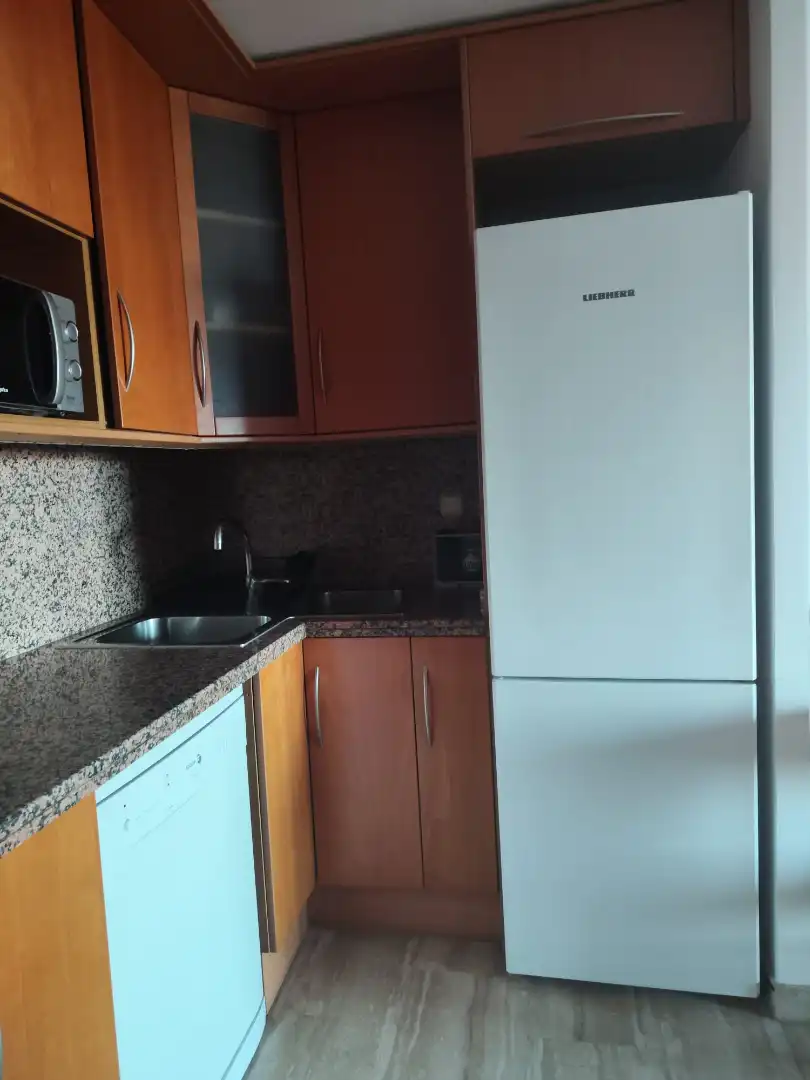 Piso de alquiler en Avinguda de Roma, 21, Nou Eixample Nord