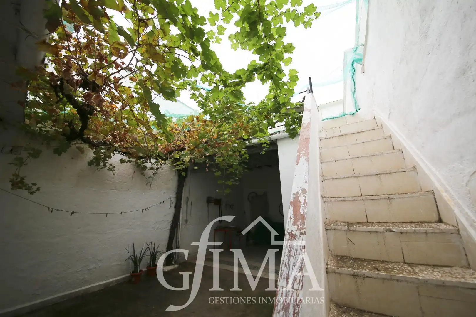 Jardín de Casa o chalet en venta en Tomelloso con Terraza