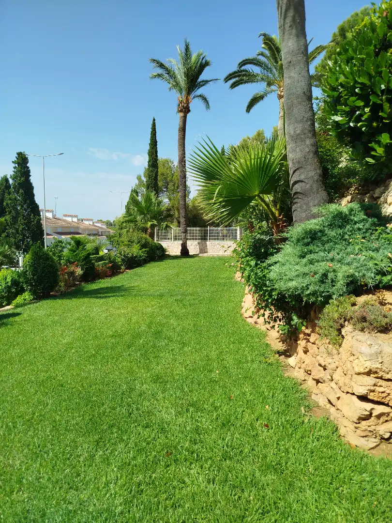 Jardí de Residencial en venda en Alcalà de Xivert