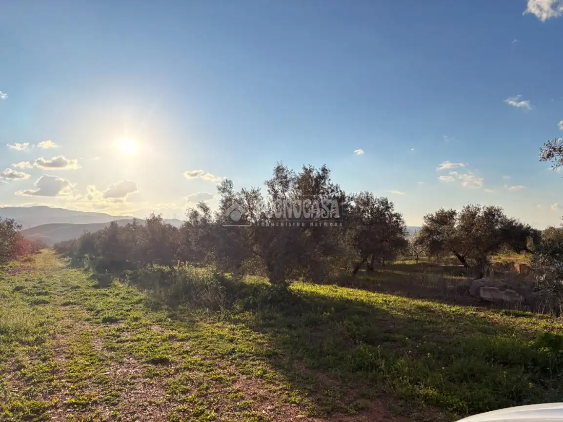 Rural land for sale in Dúrcal, imagen 13
