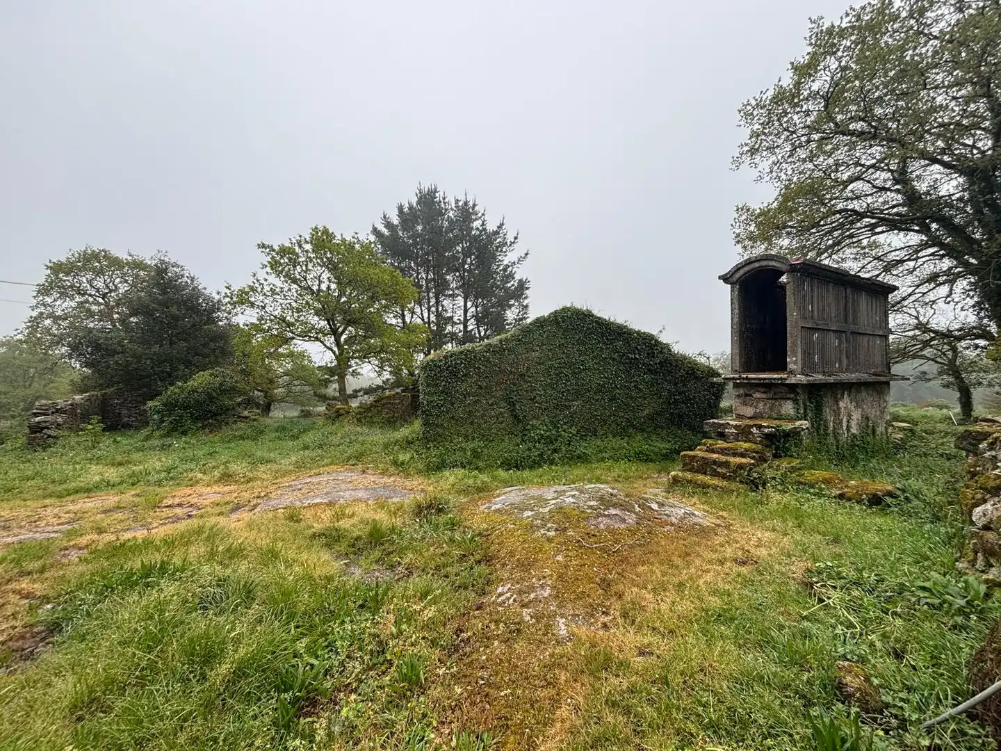 Finca rústica en venta en Guitiriz