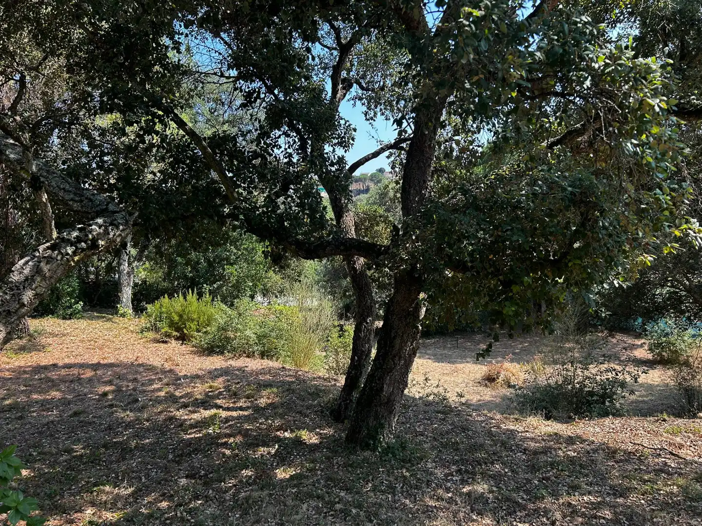 Terreno residencial en venta en Niàgara Parc - Àgora Parc, imagen 9