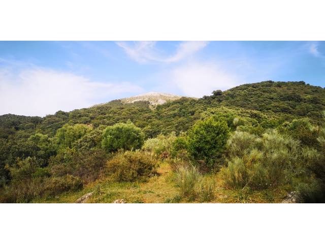 Casa-chalet en Venta en Benadalid