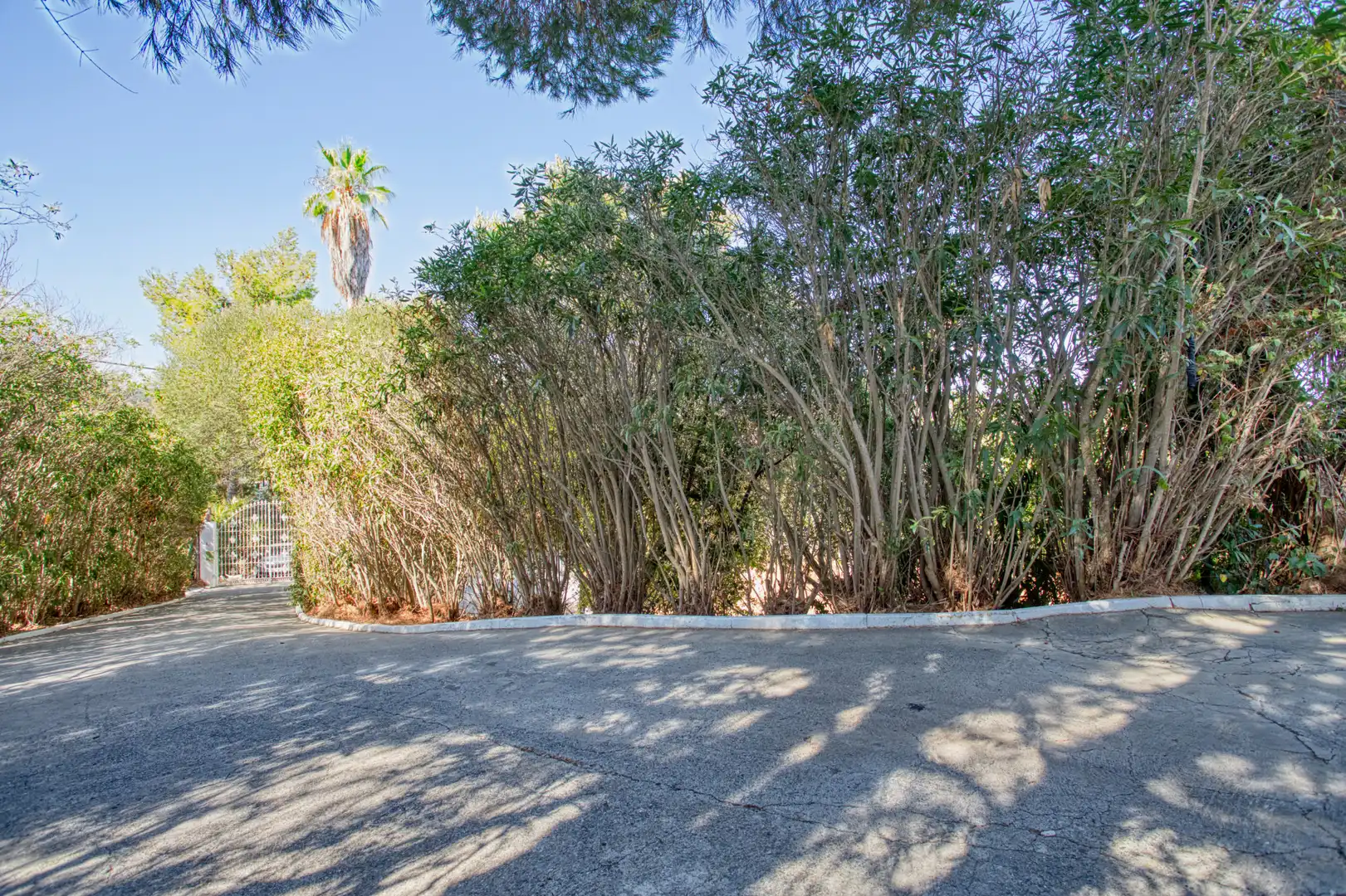 Vista exterior de Casa o chalet en venta en San Martín del Tesorillo con Jardín privado y Terraza