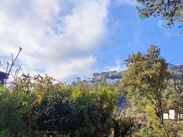 Terreni e lotti in vendita a El Racó - Sant Feliu del Racó