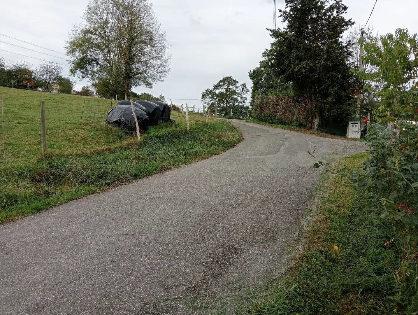 Außenansicht von Fabrikhallen zum Verkauf in Piloña