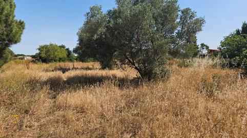 Photo 5 of Land for sale in Calle Carboneros, 60, Los Gallos, Cádiz