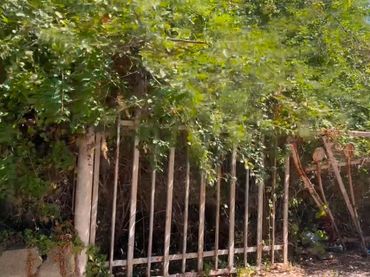 Terreno residenziale in vendita a Vallirana