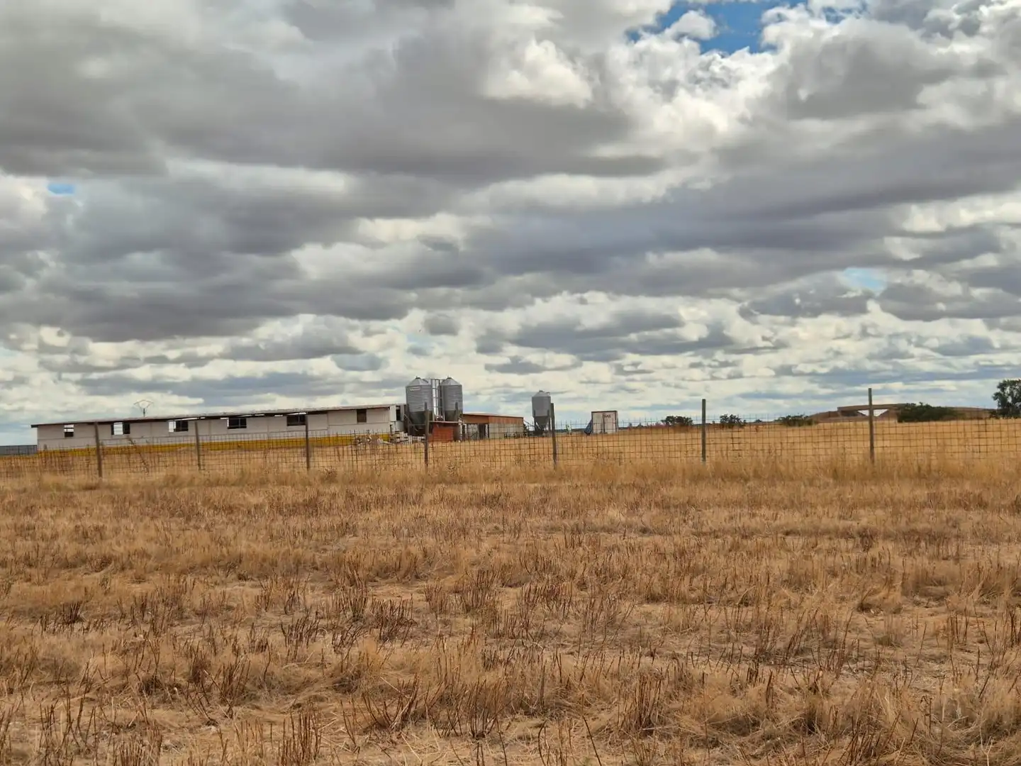 Nau industrial en venda en Olivares de Duero