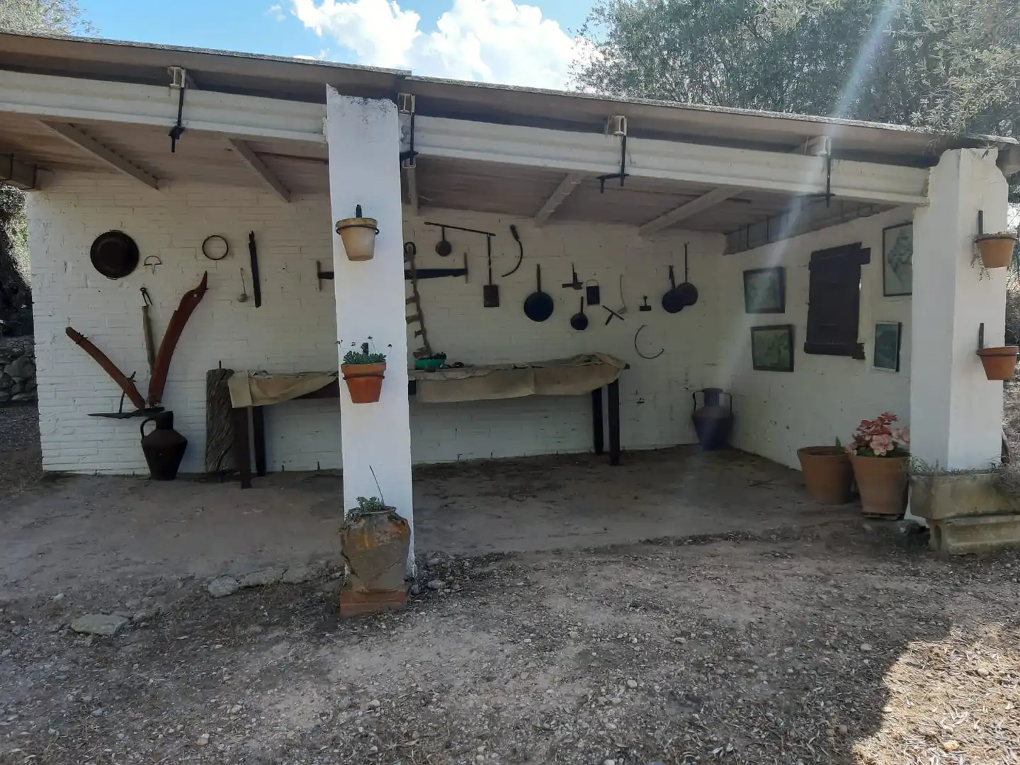 Rural land for sale in Carrer de la Muntanya, imagen 71