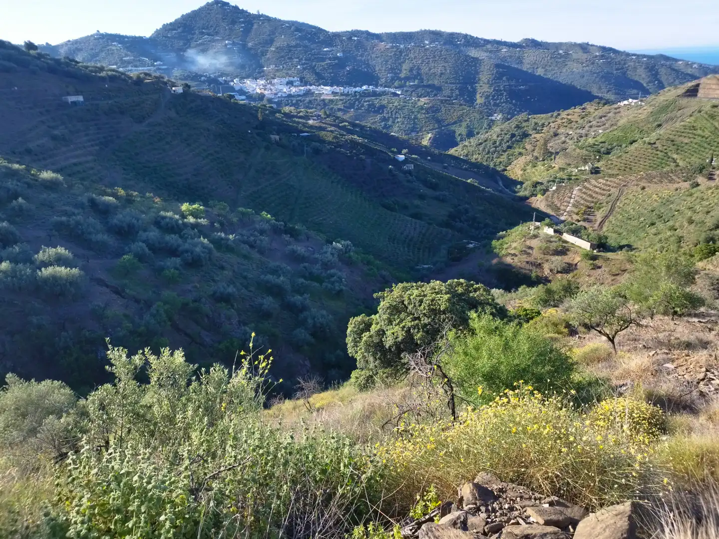Lands and plots for sale in Arenas, imagen 4