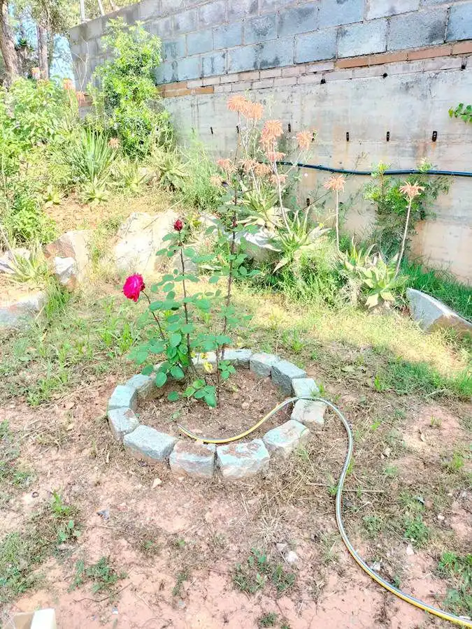Terrenos y solares en venta en Castellbisbal, imagen 17