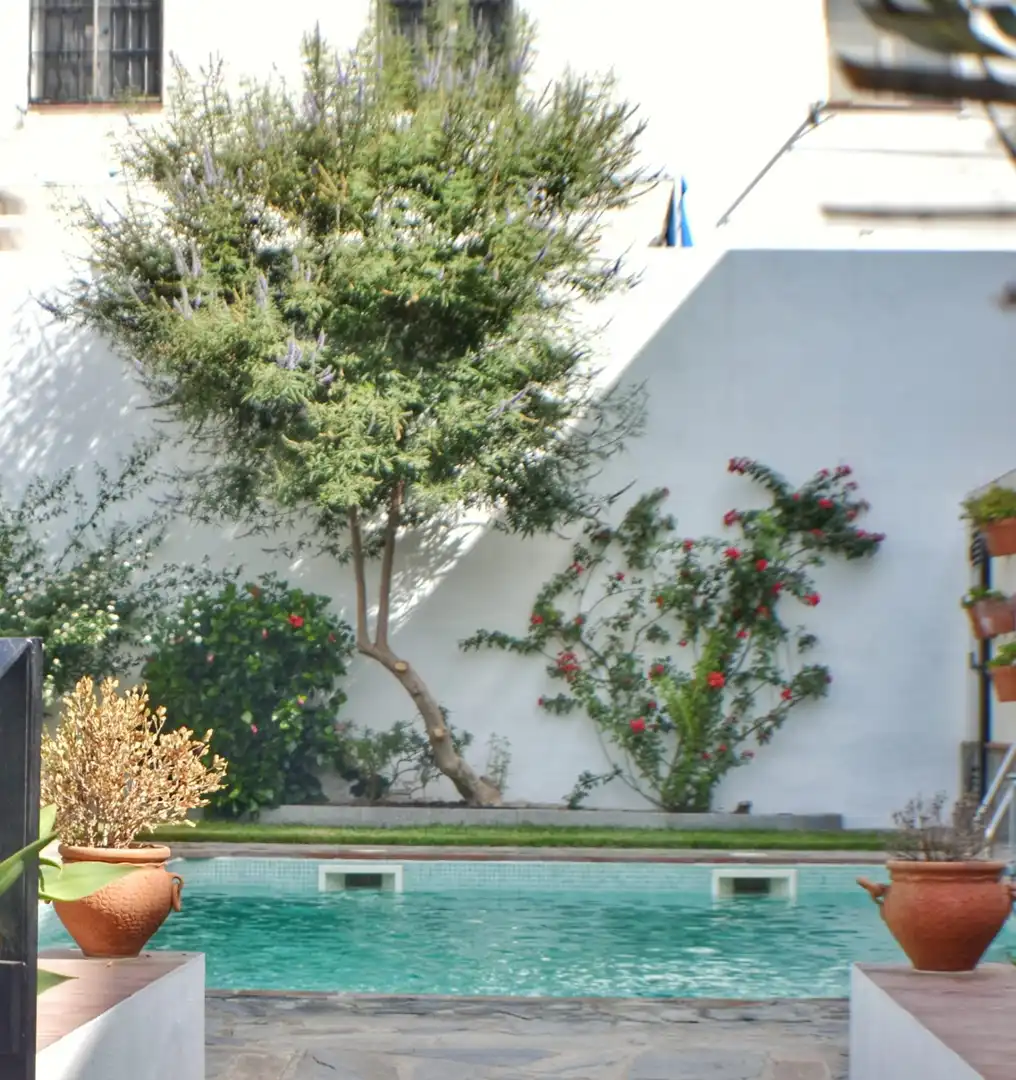 Garten von Gebäude zum Verkauf in El Pedroso
