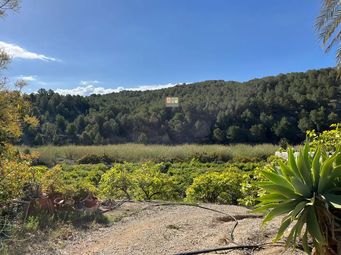 Finca rústica en venda a Callosa d'en Sarrià