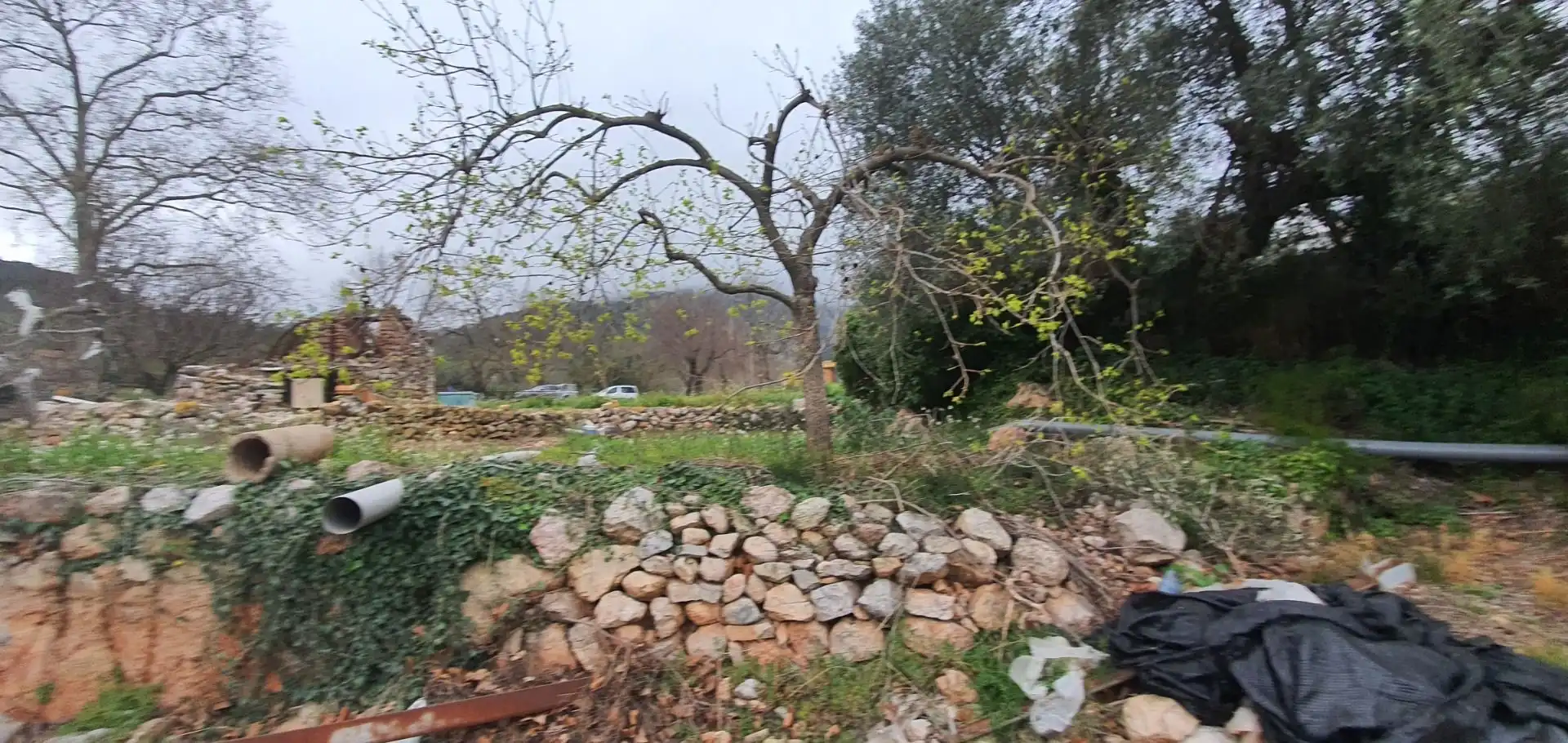 Casa o xalet en venda en Alfara de Carles