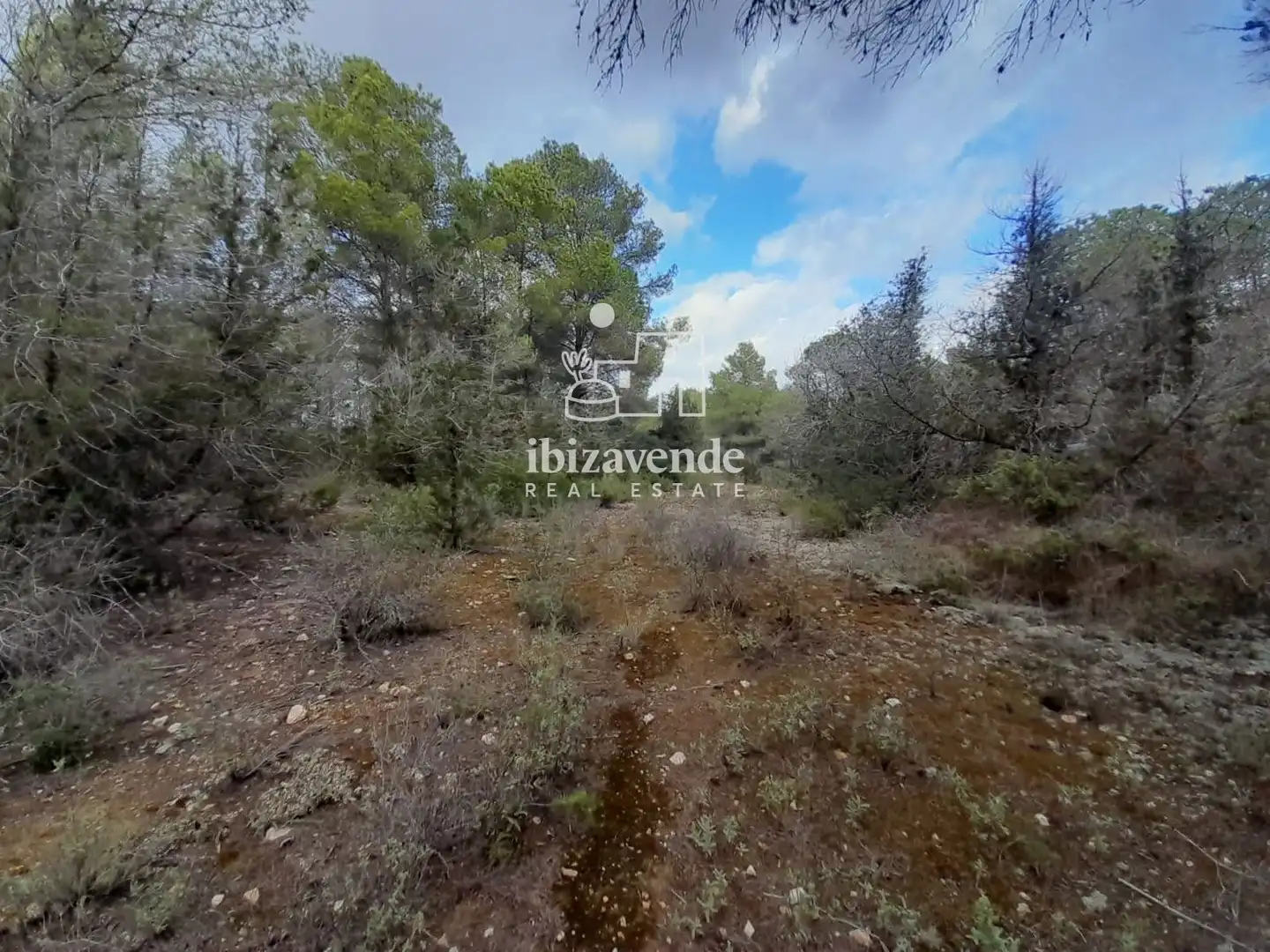 Terreny rústic en venda a Gelabert Corona, imagen 3